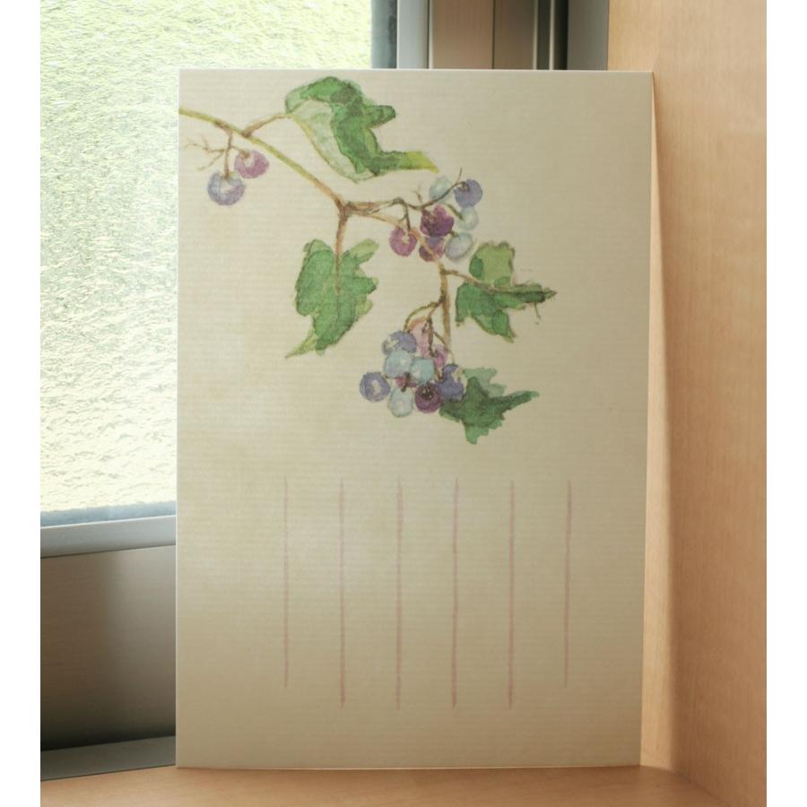 絵葉書 おしゃれ 和紙 季節の絵はがき 秋 野葡萄 和紙生活 通販 Yahoo ショッピング