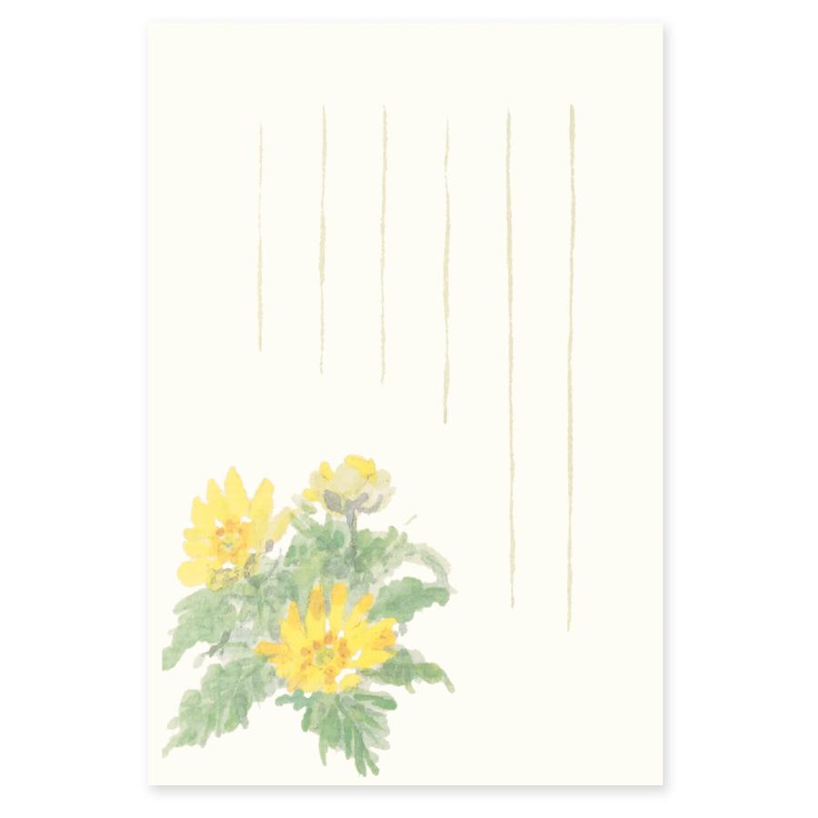 絵葉書 おしゃれ 和紙 季節のはがき 冬 フクジュソウ 和紙生活 通販 Yahoo ショッピング