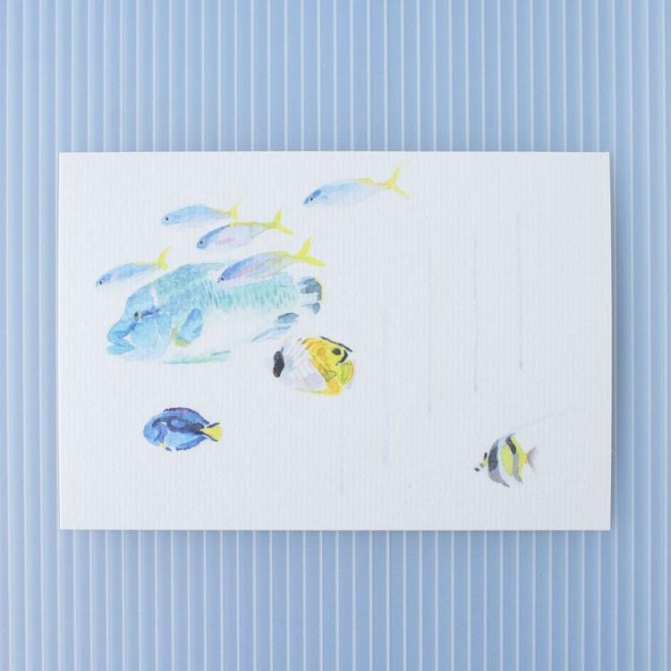 絵葉書 おしゃれ 和紙 季節の絵はがき 夏 熱帯魚 Belle Ile Nature Org