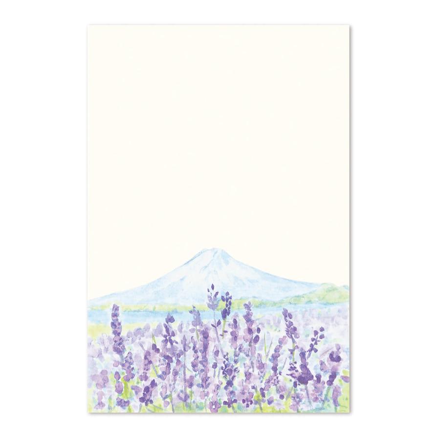 めでたや 絵葉書 ポストカード 初夏 おしゃれ 和紙 手紙 メッセージ