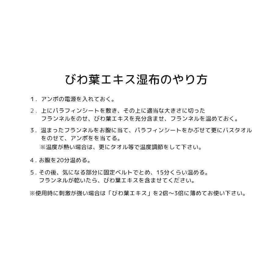 8月下旬入荷予定】びわ葉エキス湿布セット 温熱アンポ付／びわ葉 びわ