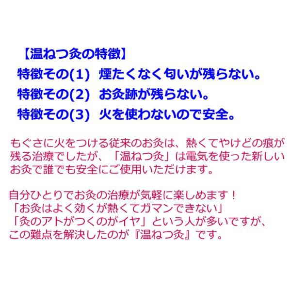 温ねつ灸 火を使わないタイプ 電気 電子のお灸 お灸療法 お灸 肩こり 腰痛 冷え性　コリや痛み びわ葉温灸 びわ葉 針治療 もぐさ_6