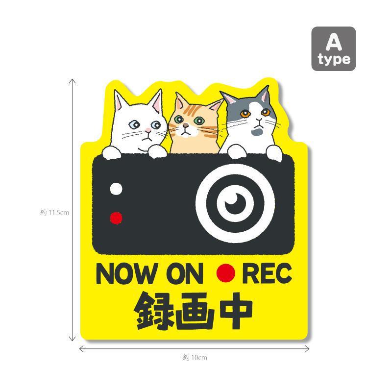 猫シリーズ3（黄色背景）ドラレコ ドライブレコーダーステッカー