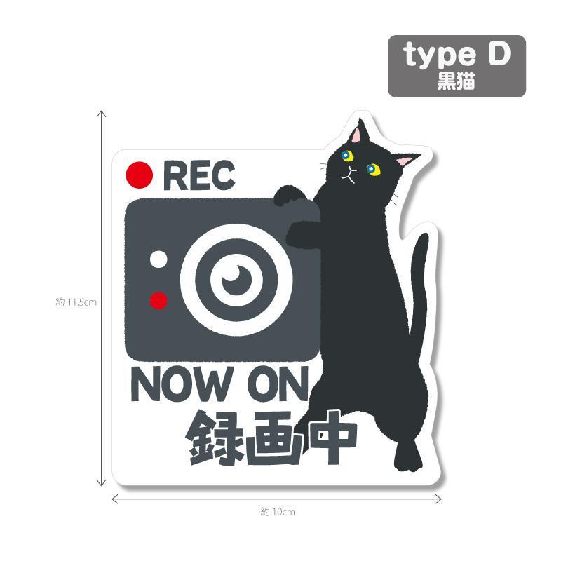 猫シリーズ２（白色背景）ドラレコ　ドライブレコーダーステッカー シール １枚｜onamae-seal｜05