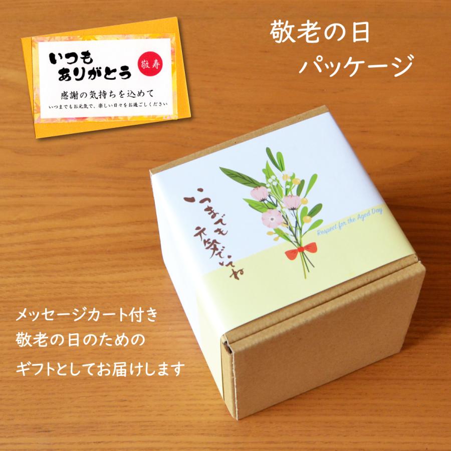 敬老の日 プレゼント 祖母 湯呑み 有田焼 感謝を込めたギフト 敬老