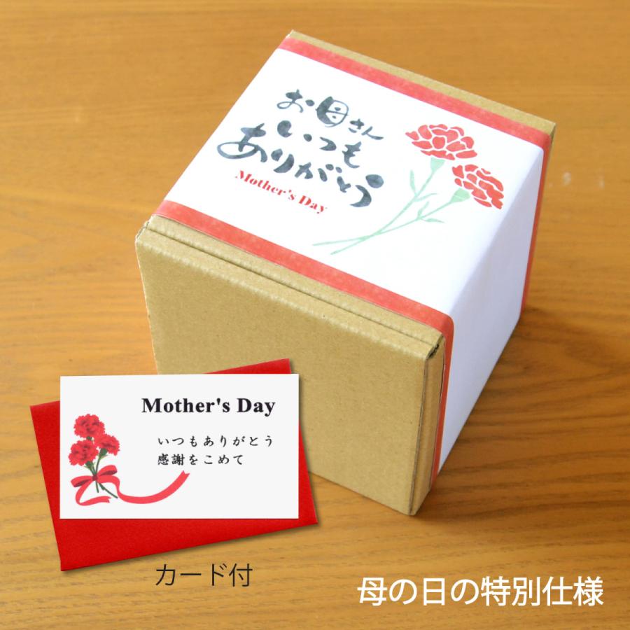 母の日ギフト 感謝を込めたプレゼント 湯呑み 有田焼 花束カーネーション メッセージカード 母の日熨斗 付き Kra Mo 有田焼やきもの市場 通販 Yahoo ショッピング
