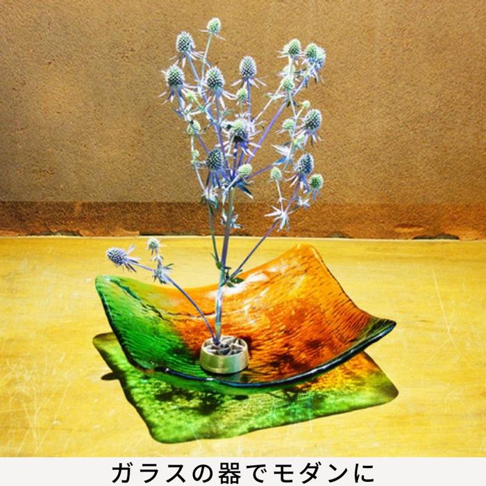 針のない剣山 登録第6606092号 花にも人にも優しい贈り物 : おなまえ