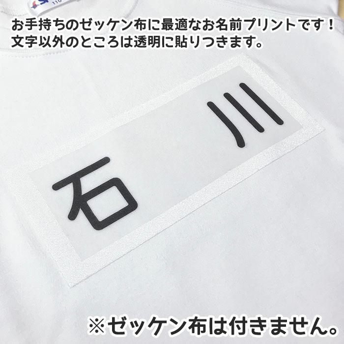 NEWお名前プリントゼッケンタイプ アイロン用 特大入り転写