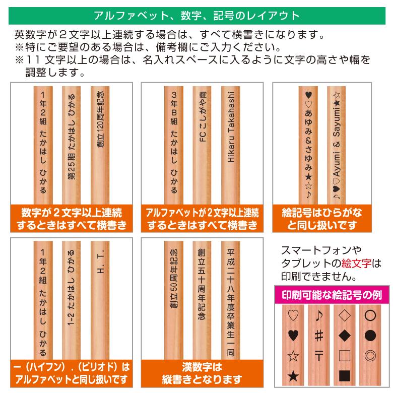 名入れ 鉛筆 [イラスト入り] 赤＆赤青セット 2B/B/HB 12本入り : お