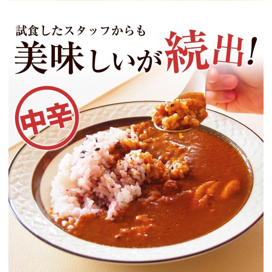 期間限定45%OFFセール レトルトカレー食べ比べ5食 大阪風甘辛ビーフカレー3袋＋北海道野菜ビーフカレー2袋 計5袋 非常食 保存食 キャンプ飯 アウトドア｜once-in｜06