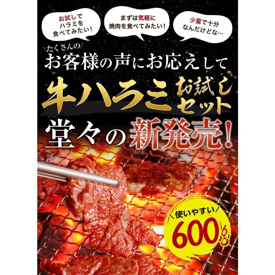 あすつく 牛ハラミ600g 焼肉セット BBQ ホルモン 冷凍食品 特産品 名物商品 バーベキュー お試し 訳あり 牛肉 :harami-600:博多もつ鍋と餃子 マイニチトッカ - 通販 - Yahoo!ショッピング あすつく 牛ハラミ600g 焼肉セット BBQ ホルモン 冷凍食品 特産品 名物商品 バーベキュー お試し 訳あり 牛肉 :harami-600:博多もつ鍋と餃子 マイニチトッカ - 通販 - Yahoo!ショッピング