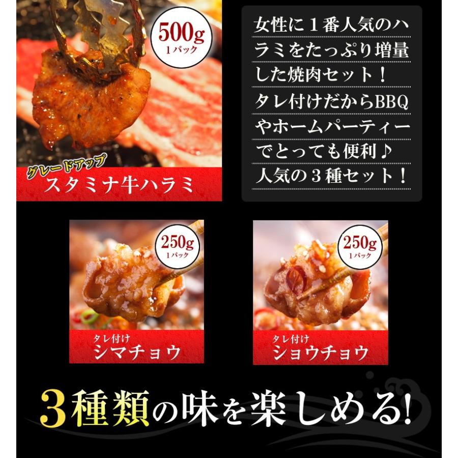 父の日 ギフト 50%OFFクーポン有 焼肉BBQ お肉1kgセット 食べ比べ3種 牛ハラミ500g 大腸シマチョウ250g 小腸250g ショウチョウ ホルモン炒め 大阪｜once-in｜11