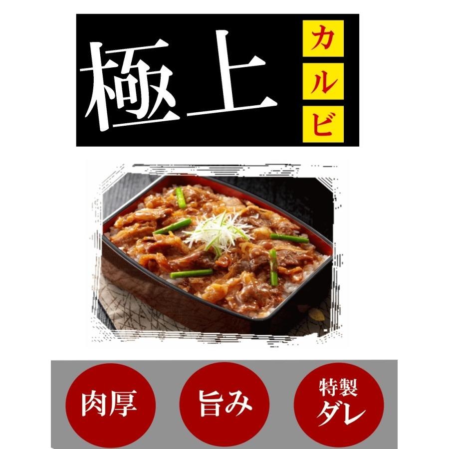 プレミアム会員なら20%OFFの3980円 カルビ丼の具10食 日本食研 牛肉 レトルト 丼ぶり 野菜炒め 電子レンジ 業務用 時短調理 牛丼に負けない 冷凍食品｜once-in｜02