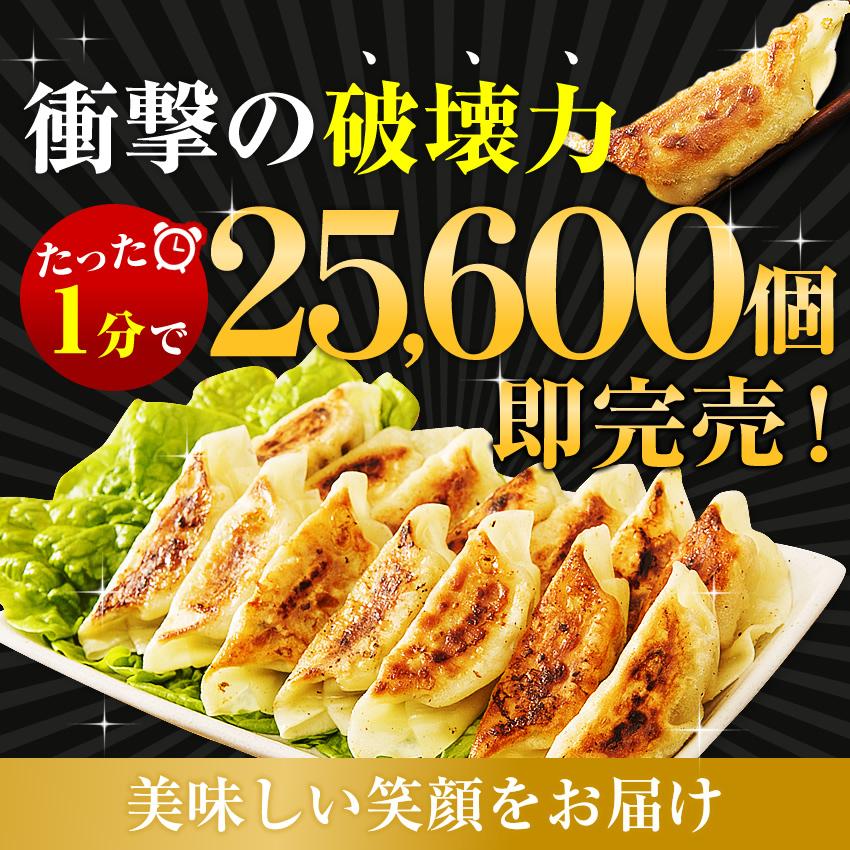 父の日 ギフト 50％OFFクーポン有 誰でもポイント4倍中 餃子 ぎょうざ すっぴん餃子100個セット できたて発送 タレ不要 2点購入でラーメンおまけ 冷凍食品｜once-in｜04