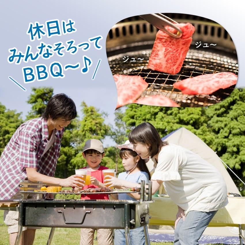 父の日 ギフト プレミアム会員30%OFF ミックスホルモン1kg 250g×4 タレ味付けなし 好みの味OK 炒め BBQ もつ鍋 ショウチョウ シマチョウ 大腸 小腸 牛 焼肉｜once-in｜10