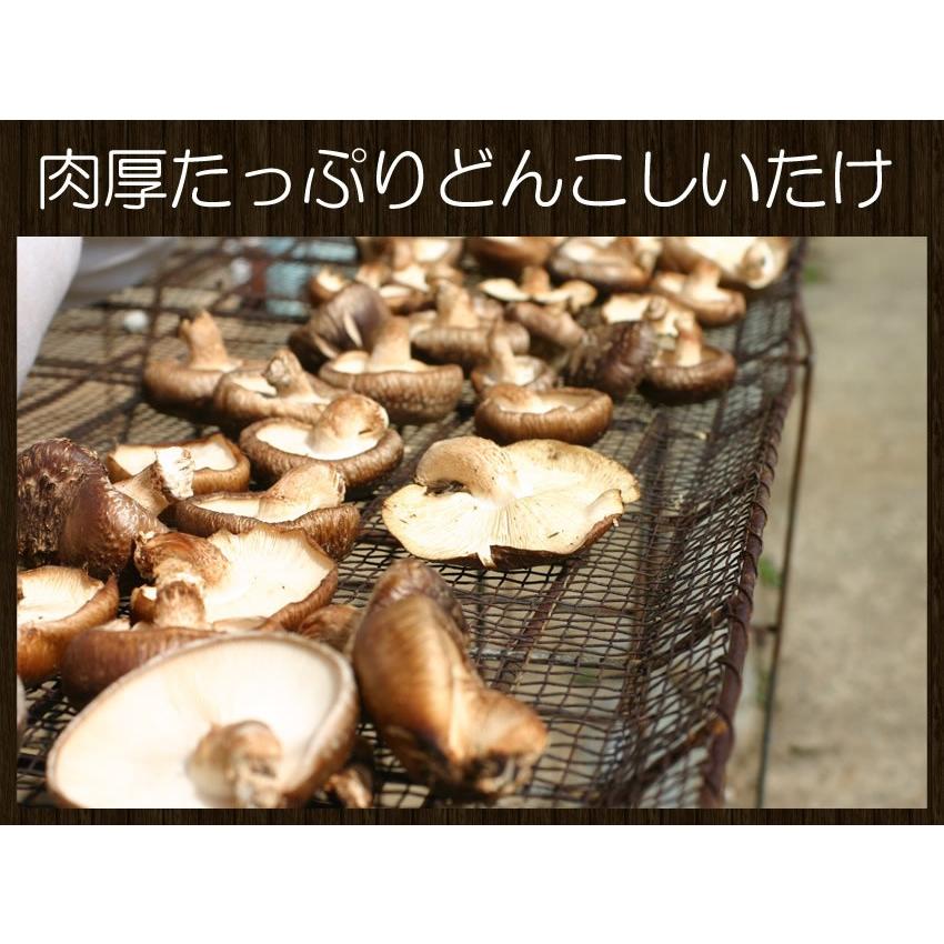 肉厚たっぷりどんこしいたけ100g 御吸い物やバーベキュー 旨みたっぷりのしいたけを戻してダシにも 業務用 名産 特産品 ギフト 大阪｜once-in｜02