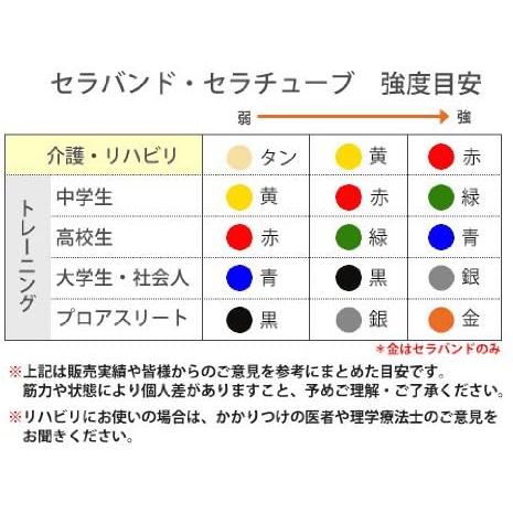 即発送可能 Theraband セラバンド 合計45 7m 50ヤード 徳用サイズ イエロー 強度 1 柔らかい Erwo Org Pk