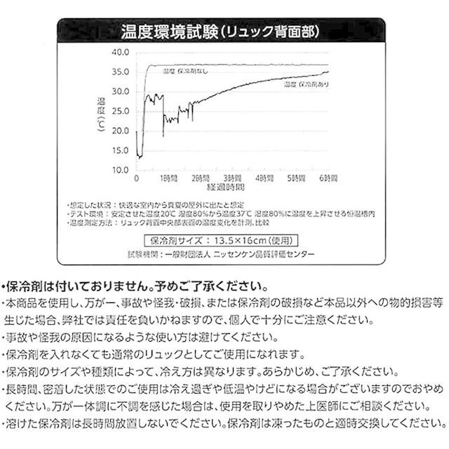 ポケモン リュック 熱中症対策 キッズ デイパック 保冷剤収納 One ポケットモンスター ピカチュウ イーブイ Pz Mrys0019 Ss Pz Mrys0019 One Clothing 通販 Yahoo ショッピング