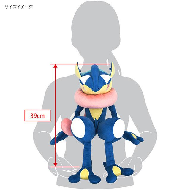 Pokemon ポケモン ポケットモンスター ゲッコウガ ゼラオラ