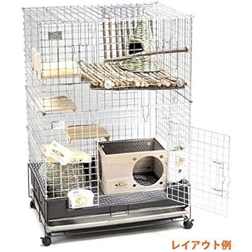 コンフォート60 チンチラスペシャル 