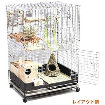 コンフォート60 チンチラスペシャル 