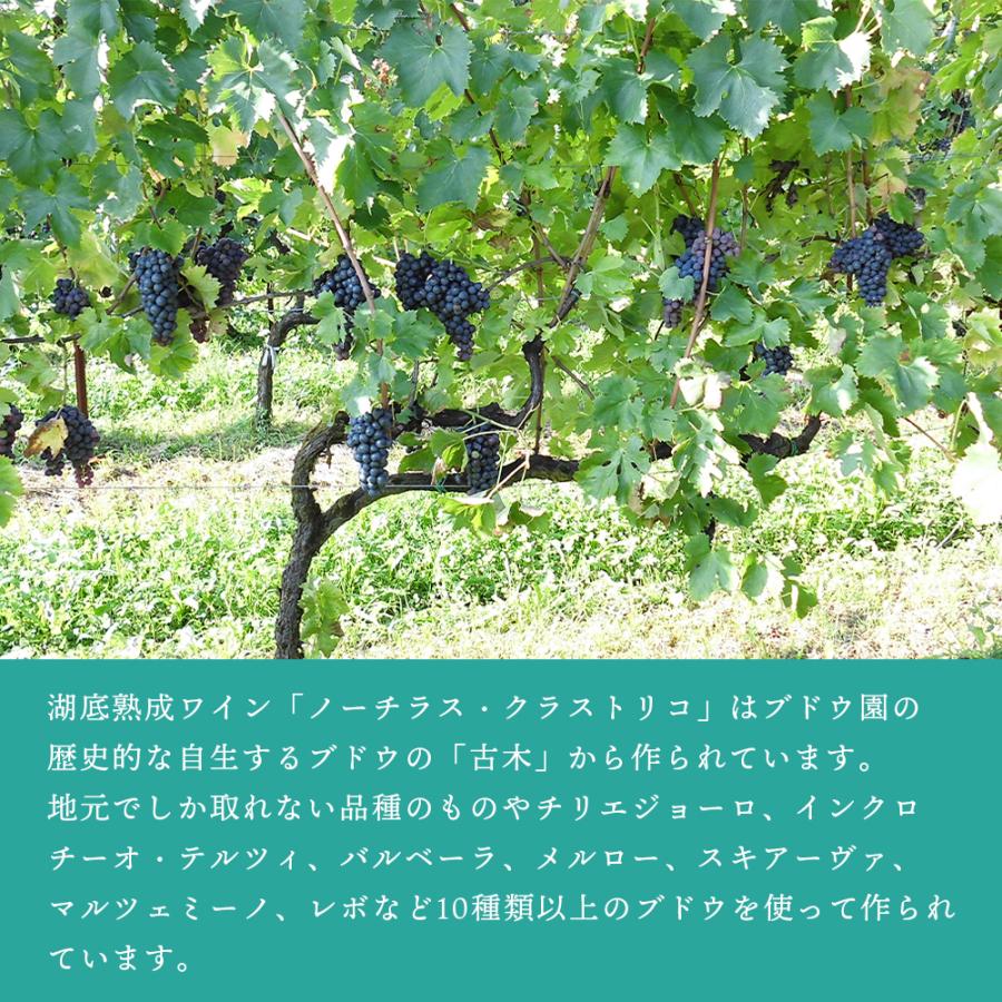 ワイン 湖底熟成ワイン ノーチラス・クラストリコ 2015 NAUTILUS CRUSTORICO アグリコラ・ヴァルカモニカ AGRICOLA VALLECAMONICA ポイント利用 |  | 09