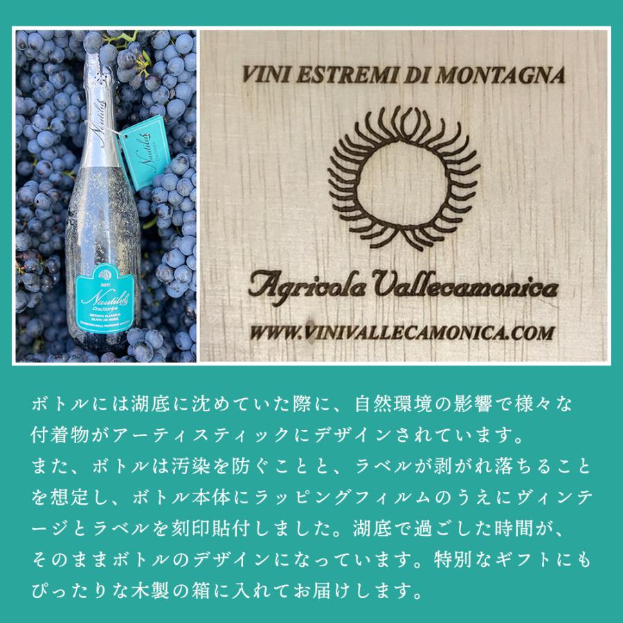 ワイン 湖底熟成ワイン ノーチラス・クラストリコ 2015 NAUTILUS CRUSTORICO アグリコラ・ヴァルカモニカ AGRICOLA VALLECAMONICA ポイント利用 |  | 10