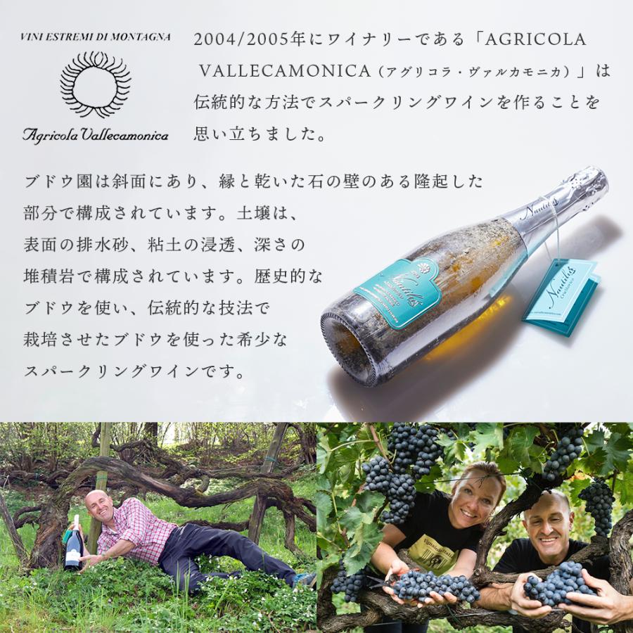 ワイン 湖底熟成ワイン ノーチラス・クラストリコ 2015 NAUTILUS CRUSTORICO アグリコラ・ヴァルカモニカ AGRICOLA VALLECAMONICA ポイント利用 |  | 11