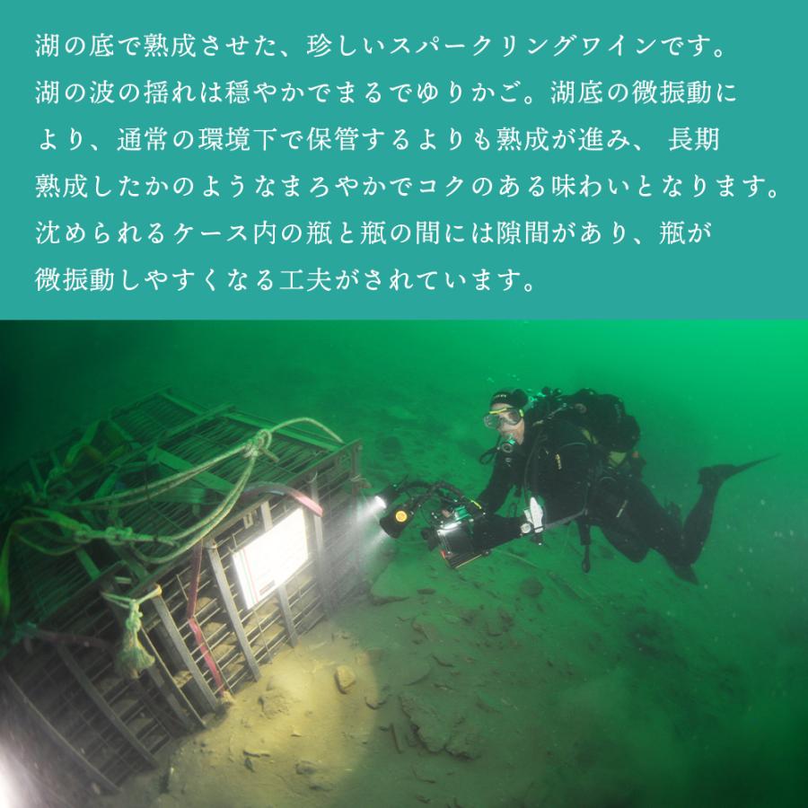 ワイン 湖底熟成ワイン ノーチラス・クラストリコ 2015 NAUTILUS CRUSTORICO アグリコラ・ヴァルカモニカ AGRICOLA VALLECAMONICA ポイント利用 |  | 03