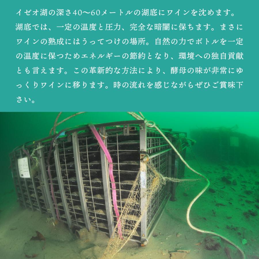 ワイン 湖底熟成ワイン ノーチラス・クラストリコ 2015 NAUTILUS CRUSTORICO アグリコラ・ヴァルカモニカ AGRICOLA VALLECAMONICA ポイント利用 |  | 05