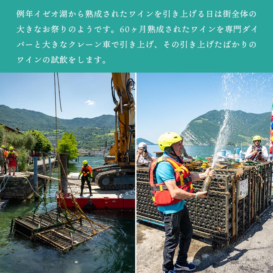 ワイン 湖底熟成ワイン ノーチラス・クラストリコ 2015 NAUTILUS CRUSTORICO アグリコラ・ヴァルカモニカ AGRICOLA VALLECAMONICA ポイント利用 |  | 06