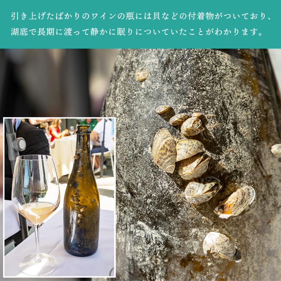 ワイン 湖底熟成ワイン ノーチラス・クラストリコ 2015 NAUTILUS CRUSTORICO アグリコラ・ヴァルカモニカ AGRICOLA VALLECAMONICA ポイント利用 |  | 07