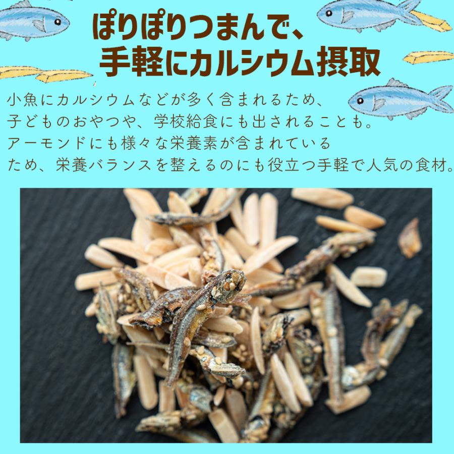 アーモンドフィッシュ 300g カルシウム 小魚アーモンド 片口いわし 栄養 健康 大容量 新商品 お試し ポイント利用 |  | 02