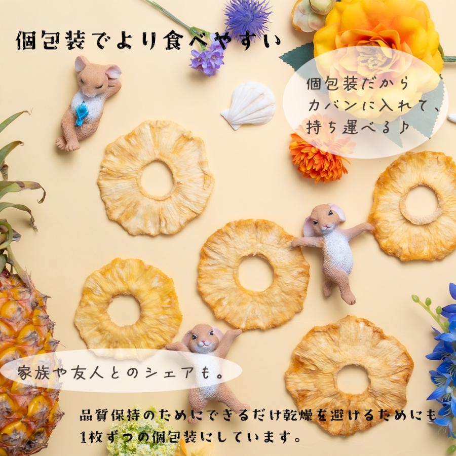 ドライパイナップル 無添加 完熟 170g 砂糖不使用・添加物不使用 個包装 タイ産 食物繊維 保存食 非常食 自然の甘さそのまま 送料無料  爆買 |  | 05
