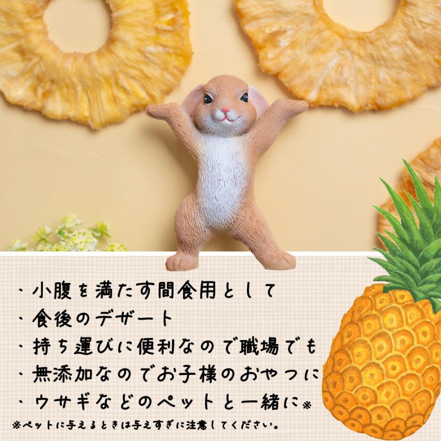 ドライパイナップル 無添加 完熟 170g 砂糖不使用・添加物不使用 個包装 タイ産 食物繊維 保存食 非常食 自然の甘さそのまま 送料無料  爆買 |  | 06