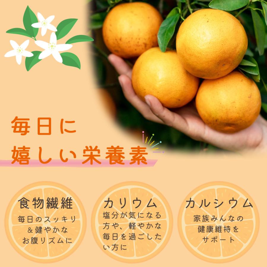 ドライオレンジ 150g 完熟 無添加 砂糖不使用  個包装 送料無料 ドライフルーツ みかん タイ産 自然の甘さ ノンシュガー 保存料不使用 小分け おやつ 爆買 |  | 05