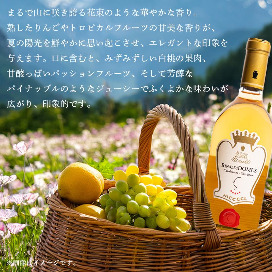 ワイン リナルディドムス 2017 Villa Rinaldi ヴィラ リナルディ ポイント利用 |  | 04