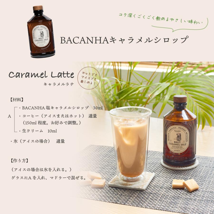 BACANHA シロップ 400ml 自然派シロップ 水割り ノンアルコール コーヒー 紅茶 ゆず いちご 塩キャラメル ヘーゼルナッツ カシス フルーツ ポイント利用 |  | 17