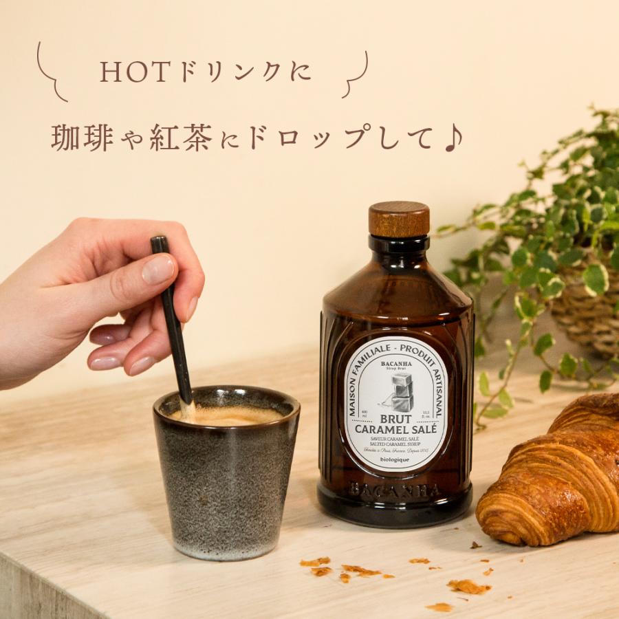 BACANHA シロップ 400ml 自然派シロップ 水割り ノンアルコール コーヒー 紅茶 ゆず いちご 塩キャラメル ヘーゼルナッツ カシス フルーツ ポイント利用 |  | 12