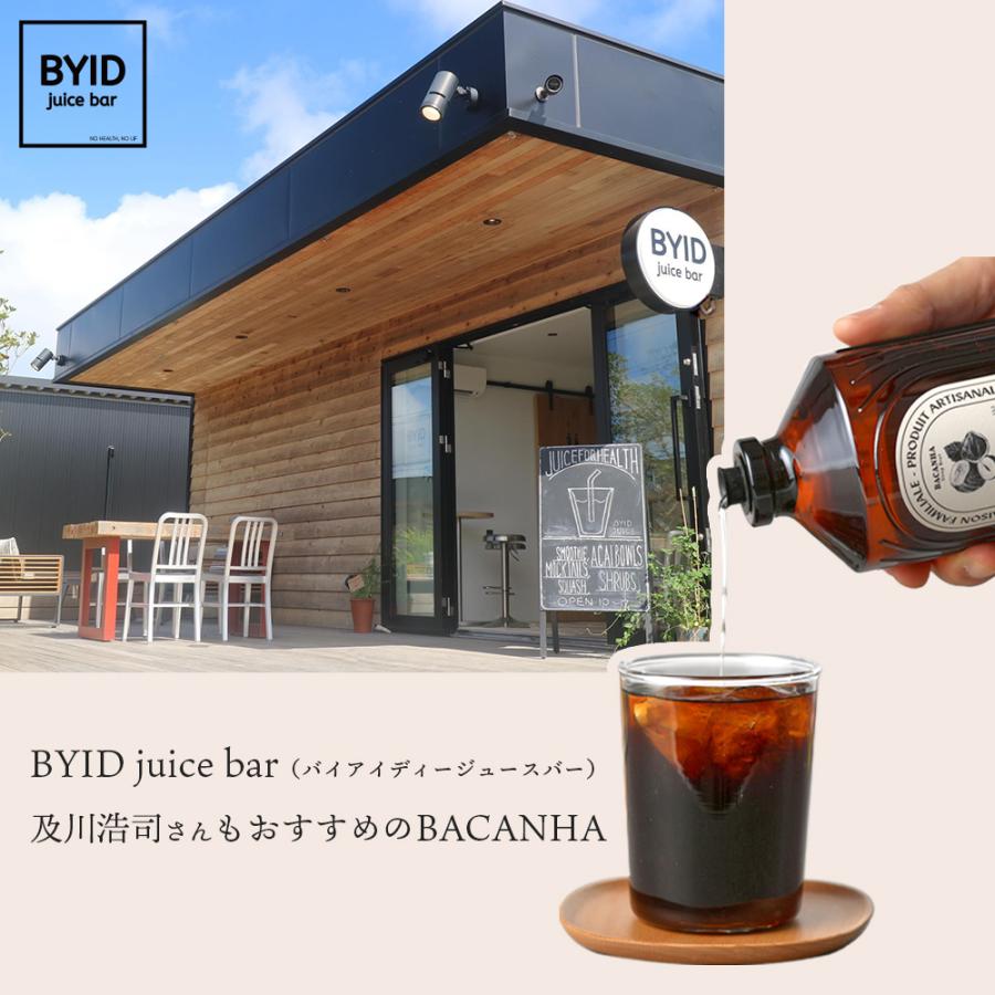 BACANHA シロップ 400ml 自然派シロップ 水割り ノンアルコール コーヒー 紅茶 ゆず いちご 塩キャラメル ヘーゼルナッツ カシス フルーツ ポイント利用 |  | 14