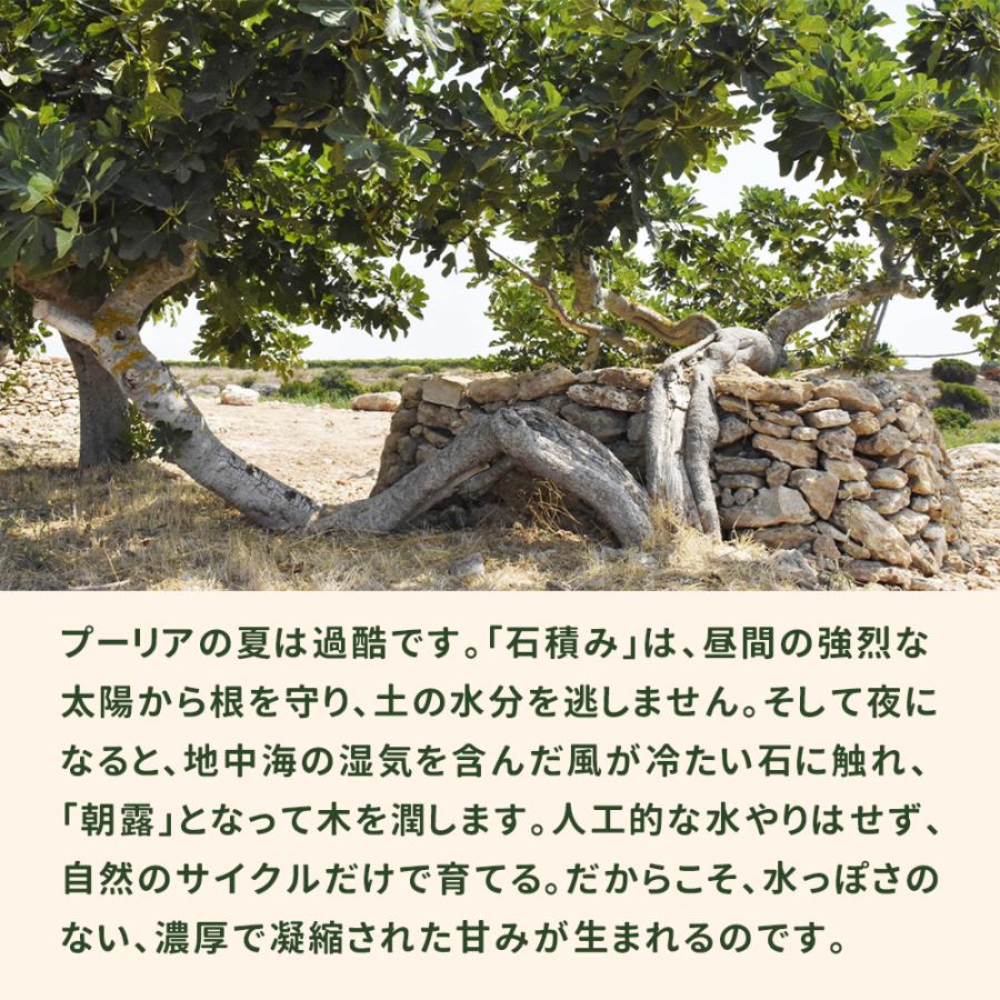 ドライいちじく ドライフィグ 白いちじく いちじくジャム イタリア産フィグ選べる2種セット 2個セット  爆買 |  | 05