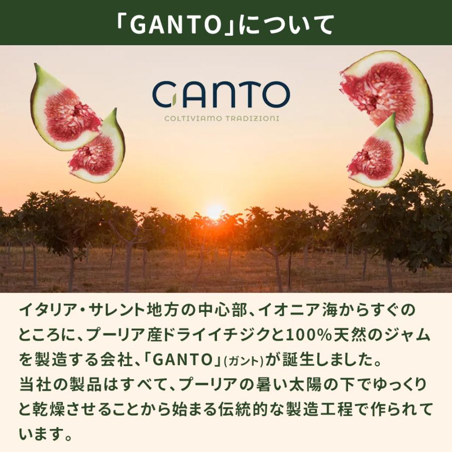 ドライいちじく ドライフィグ 白いちじく いちじくジャム イタリア産フィグ選べる2種セット 2個セット  爆買 |  | 08