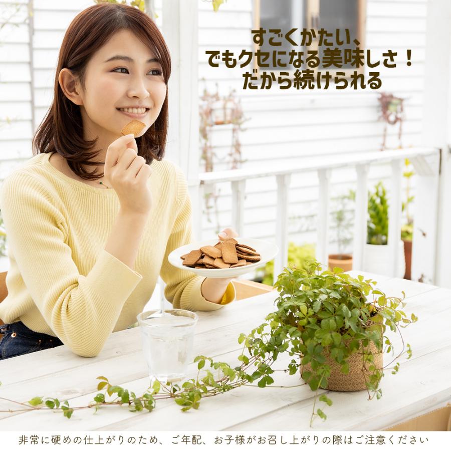 生おからクッキー 堅焼き 500g (250g×2袋) 送料無料 おから 豆乳 大豆 クッキー 卵不使用 牛乳不使用 ダイエット たんぱく質 固焼き ポイント利用 |  | 05
