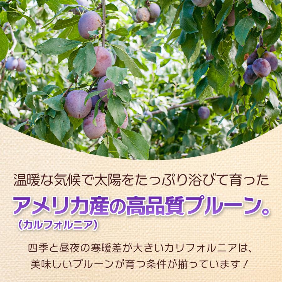 ドライプルーン 個包装 400g 2袋セット 種ぬき プルーン ドライフルーツ 送料無料 ポイント利用 |  | 02