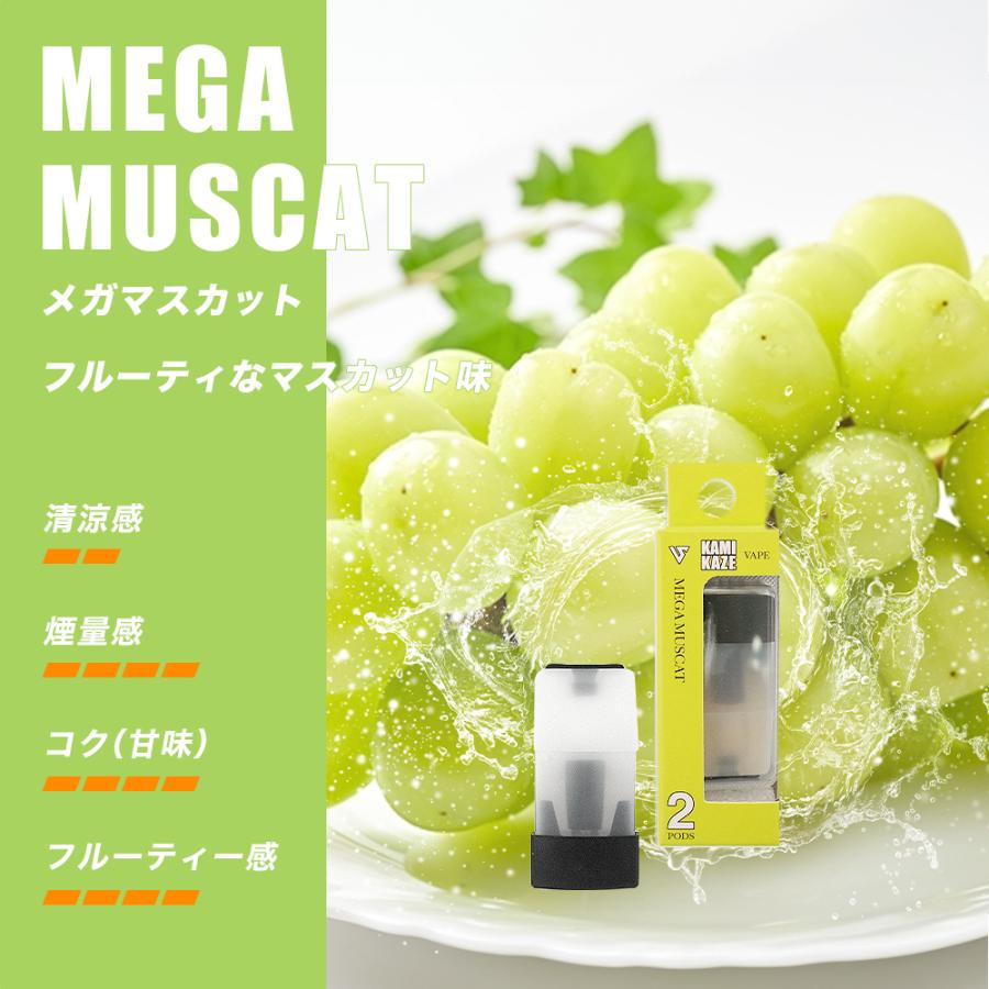 SMOOTHVIP EZ-KAMIKAZE 人気フレーバー (スターターキット＋POD3種 1箱2個入り) 合計吸引回数 約3500回 スムースビップ カミカゼ ポイント利用 |  | 06