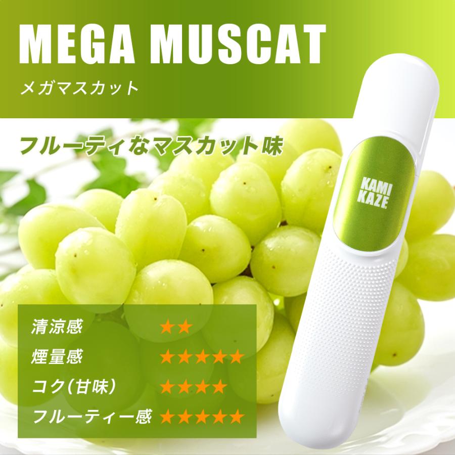 SMOOTHVIP × KAMIKAZE スムースビップ×カミカゼ 選べるフレーバー 5本セット 使いきり電子ベイプ VAPE ニコチン0 タール0 アウトレット 特価 |  | 16