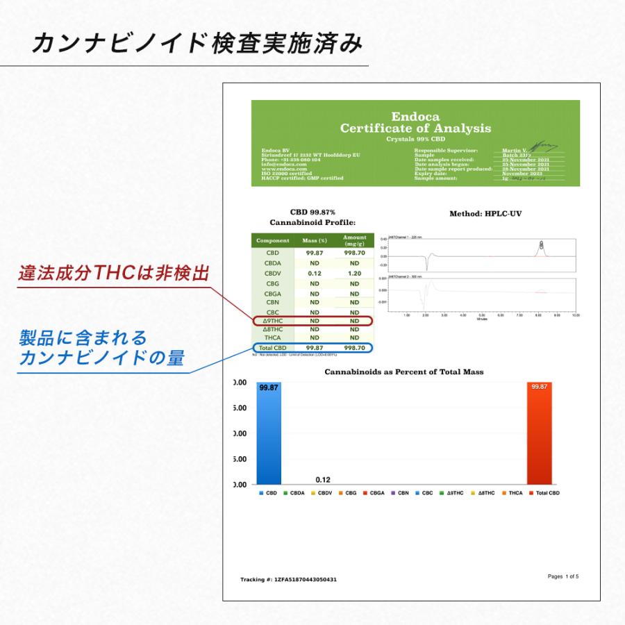 SMOOTHVIP POCKETY CBD 10% スターターキット 交換用リキッド入りPOD ニコチンレス ノンニコチン スムースビップ ポケッティ｜one-eighty｜13