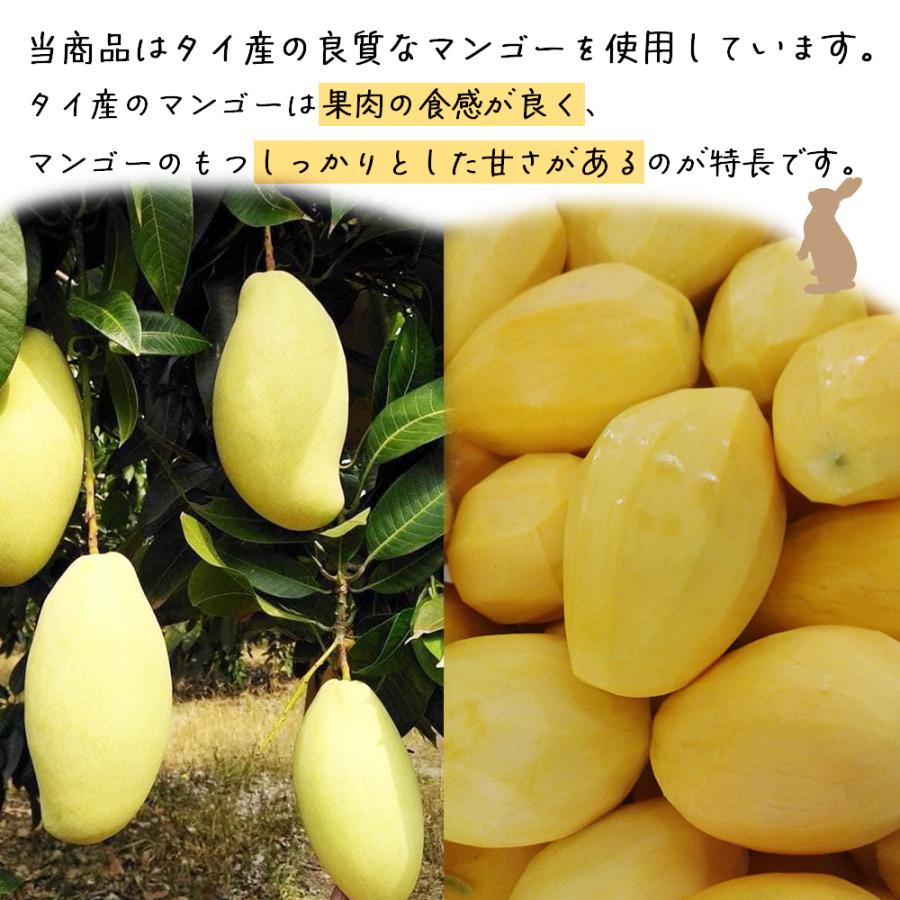 ドライマンゴー 500g 2袋セット 送料無料 細切り ドライマンゴー ドライフルーツ マンゴー 不揃い 新物入荷 ポイント利用 |  | 03