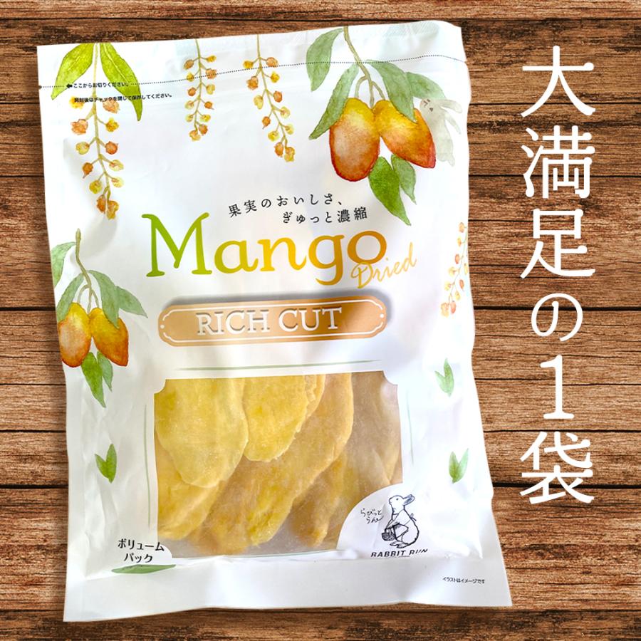 ドライマンゴー リッチカット 500g 2袋セット (500g×2) 送料無料 ドライフルーツ マンゴー スライス ポイント利用 |  | 01