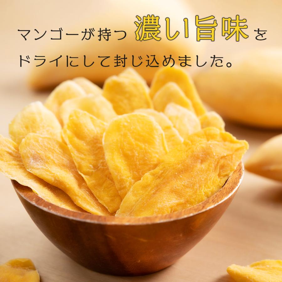 ドライマンゴー リッチカット 500g 2袋セット (500g×2) 送料無料 ドライフルーツ マンゴー スライス ポイント利用 |  | 02